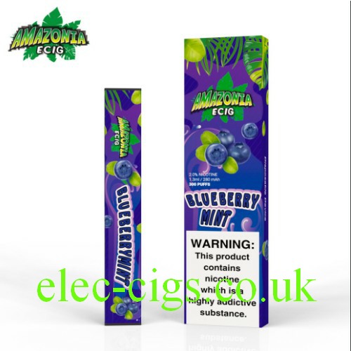 Amazonia 300 Puff E Cigarette Blueberry Mint